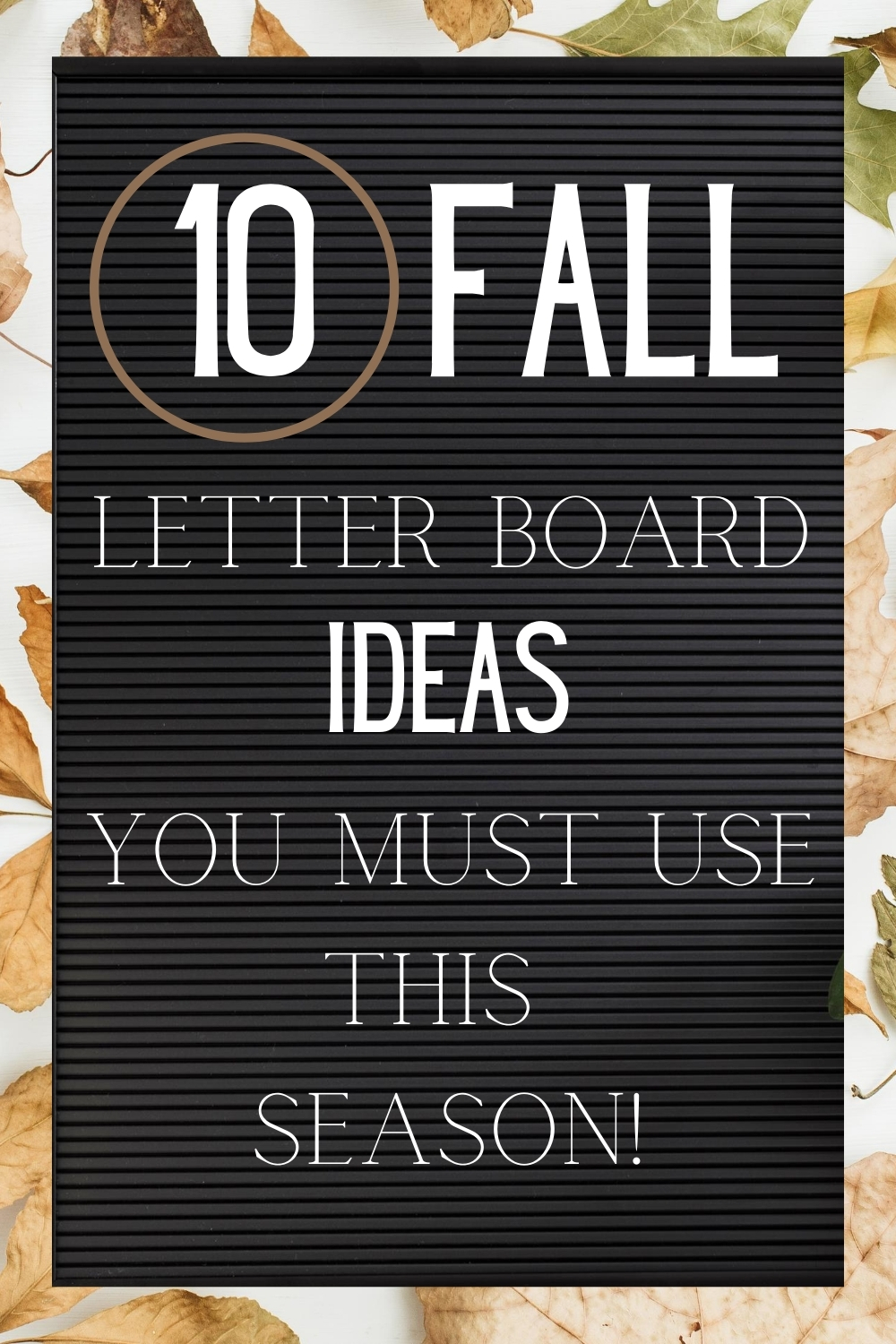 10 Fall Letter Board Quotes You Must Use This Season Madi Woodhouse